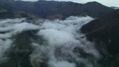 drone-aerial,-Misty-forest-autumn-after-rain,-hills-and-mountains