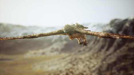 extreme-slow-motion-shot-of-eagle