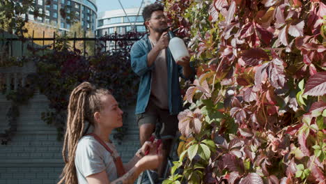 people taking care of plants