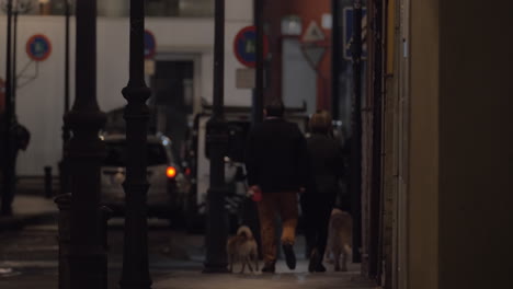 una vista de la calle con tráfico ocupado y una pareja caminando con perros a lo largo de una acera