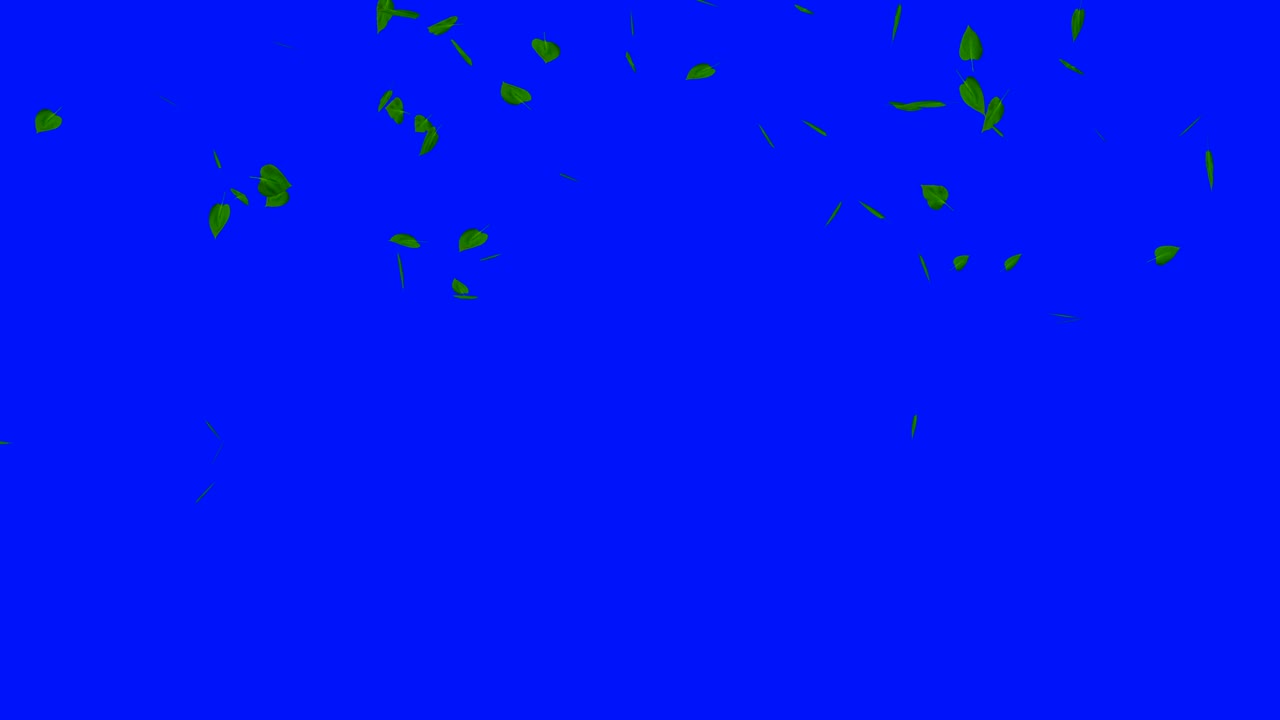 파란색에 고립된 잎