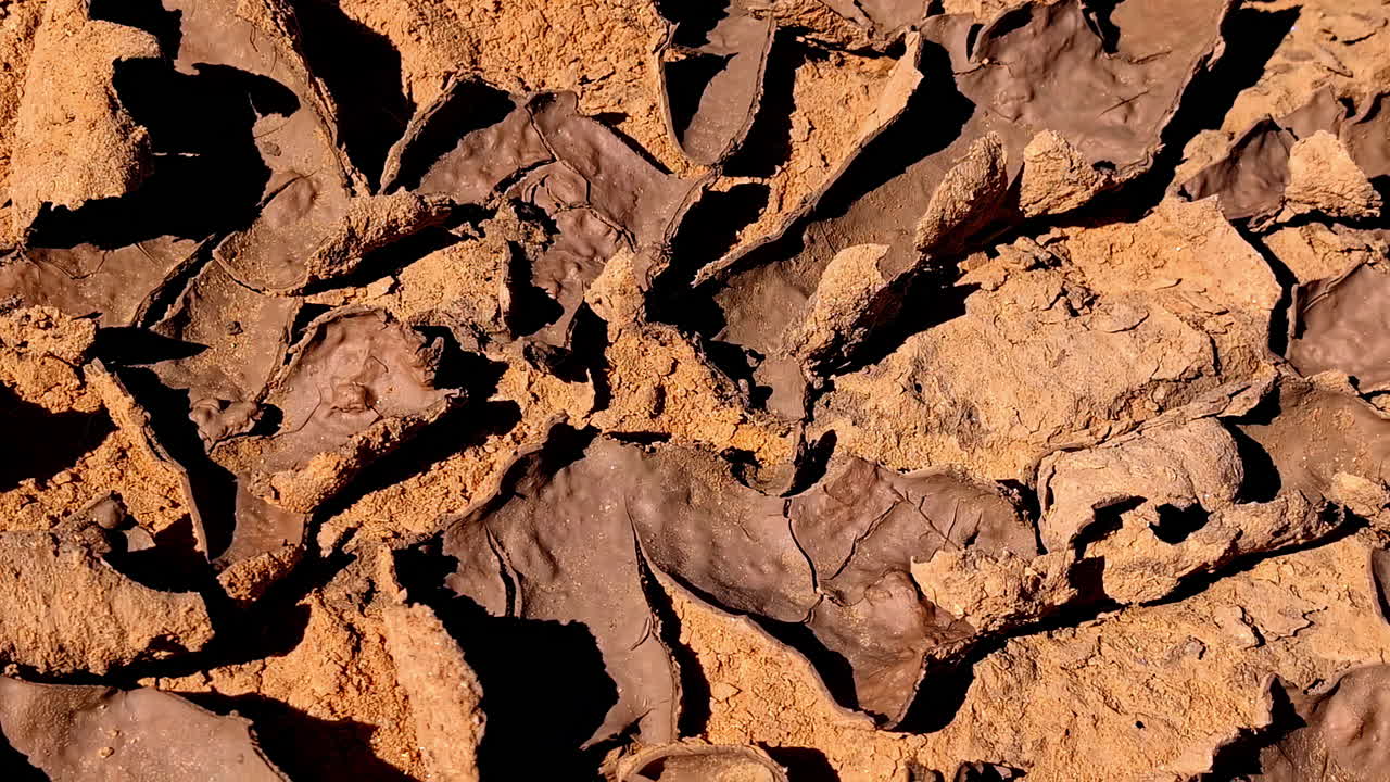 Close-Up View of Cracked, Dried Mud Surface Highlighting Severe Drought Conditions