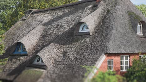 Hübsches-Strohdachhaus-Im-Ländlichen-Deutschland,-Versteckt-Zwischen-Den-Hohen-Grünen-Bäumen