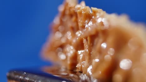 close-up of a chocolate cake decorated with hazelnut topping