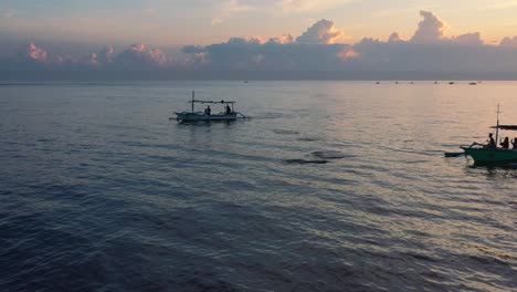 Antena-De-Turistas-Viendo-Delfines-Rompiendo-La-Superficie-Del-Océano-Durante-El-Amanecer-En-Lovina-Bali-Indonesia