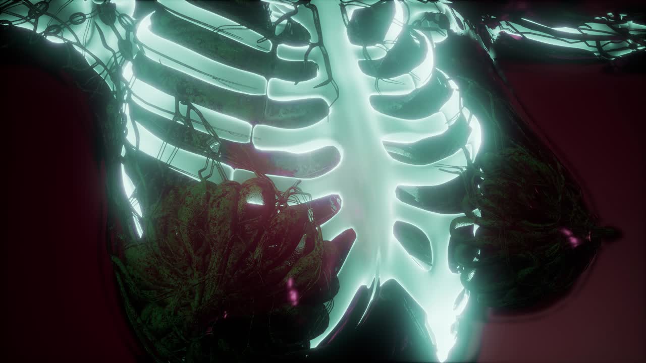 cuerpo humano con huesos esqueléticos visibles