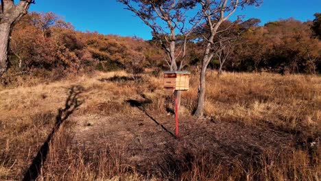 Abejas-Asesinas-Africanas-En-Una-Colmena-De-Madera-Protegida-En-Una-Granja-Rural,-Con-Vegetación-Seca-Por-Todas-Partes