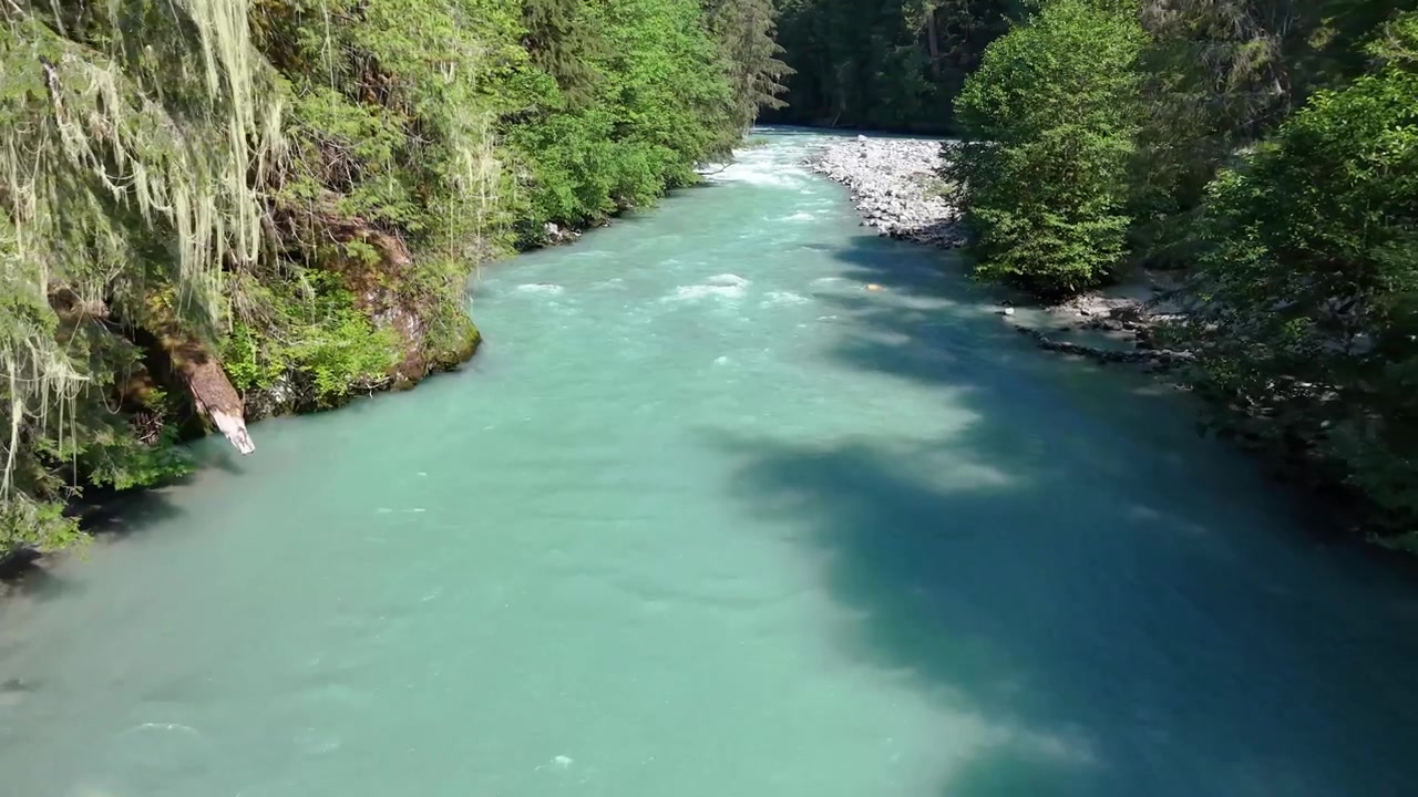 Bellissimo fiume alpino in una giornata di sole nel Pacifico nord-occidentale