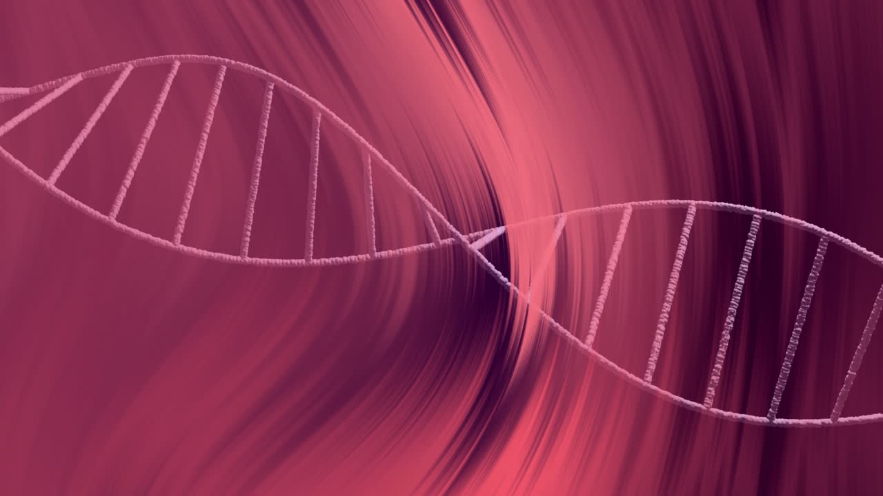 animación de cadena de adn sobre un fondo giratorio rojo y rosa abstracto