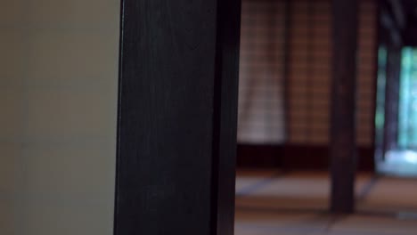 the houses of the edo period (1603-1868) in japan were characterized by sliding doors with paper walls. each of these doors could be pulled out or moved to create a new environment.