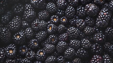 fresh ripe blackberries in full frame background shot