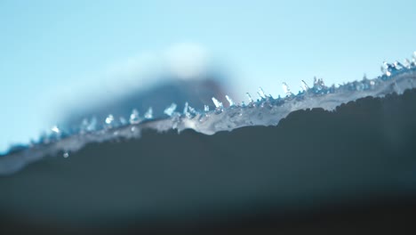 close-up view of melting ice from a roof, in natural environnemnt