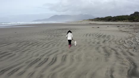 Female-walking-dog-along-the-beach,-Rockaway-Beach,-Oregon,-cold-rainy-day,-aerial-tracking
