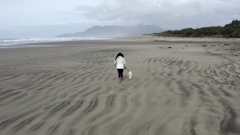 perro paseando por la playa, playa rockaway, oregon, día frío y lluvioso, rastreo aéreo