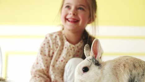 primer plano del niño alimentando al conejo