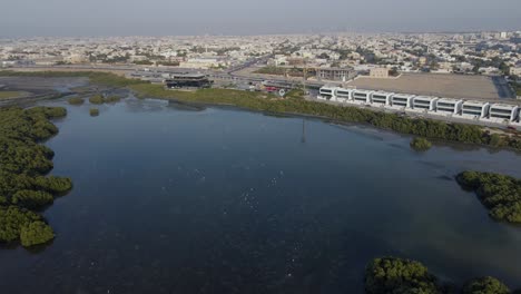 Vista-De-Drones-De-Los-Manglares-De-Ajman-Y-El-Campo-De-Golf-También-Llamado-Al-Zorah-En-Los-Emiratos-árabes-Unidos,-Imágenes-De-4k