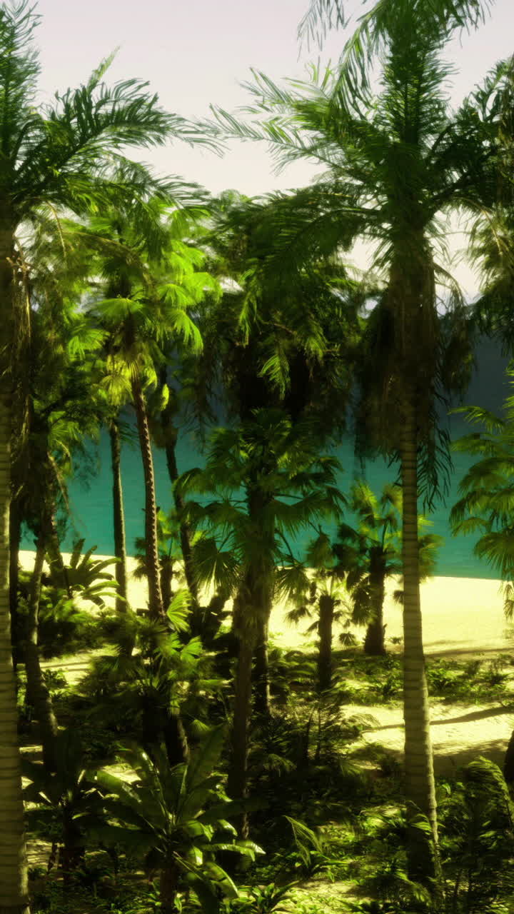 Palme vicino alla spiaggia con acqua cristallina durante il giorno