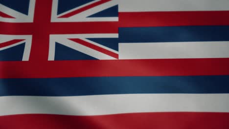 bandera de hawaii, movimiento lento ondeando