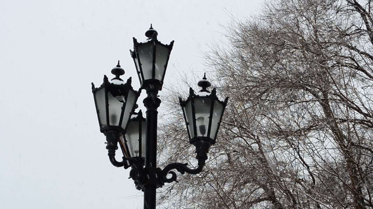 Rodaje en febrero. Invierno en un parque.