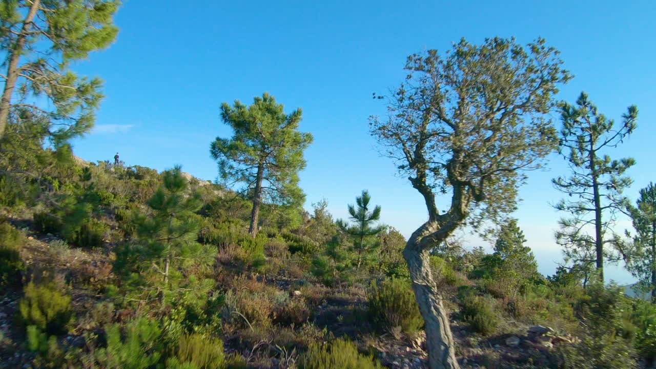 el hermoso paisaje de maquis verde rocoso, llegando al mar mediterráneo - antena