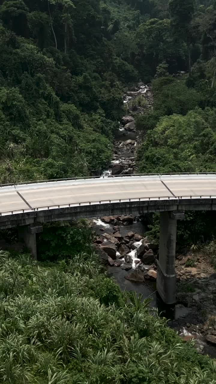 Bridge over a river in a forest