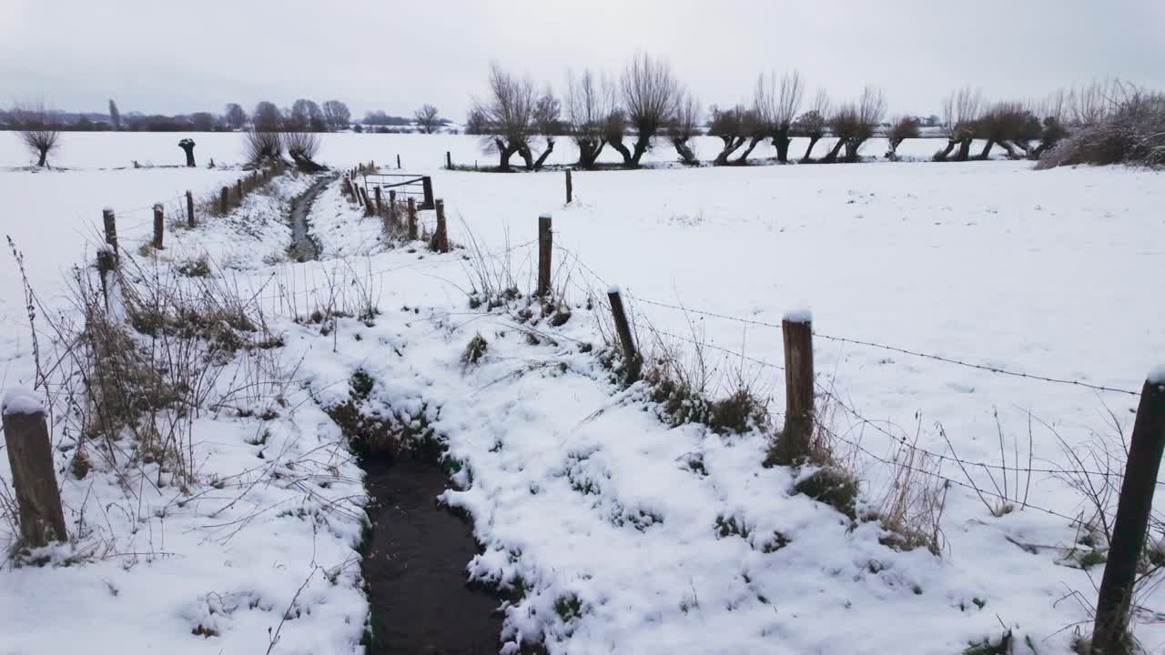 Campo lungo di un paesaggio innevato di polder con un ruscello stretto e alberi di salice capitozzato a Gelderland