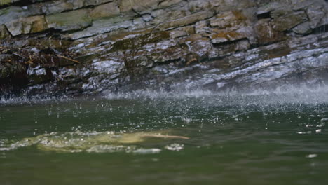 waterfall splashing into a pool of water