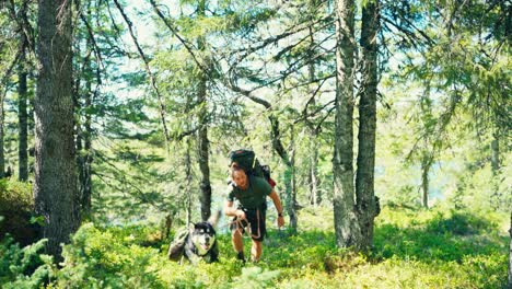 a man and his dog are hiking through the forest in imalitjønna, indre fosen, trøndelag, norway - static shot