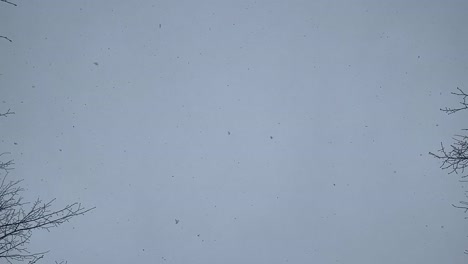 copos de nieve que vienen del cielo de invierno