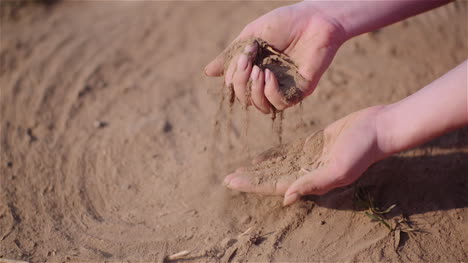 farmer touching dirt in hands pouring organic soil 3