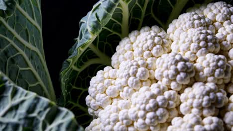primer plano de una cabeza de coliflor