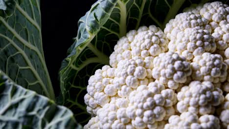 close-up of a cauliflower head