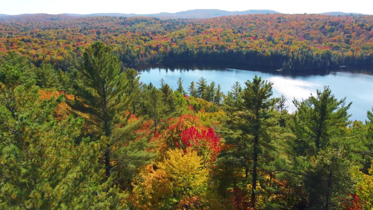 un lago rodeado por un bosque en colores de otoño