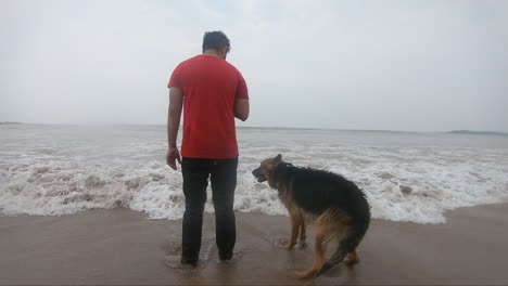 perro pastor alemán de pie en la playa con humanos