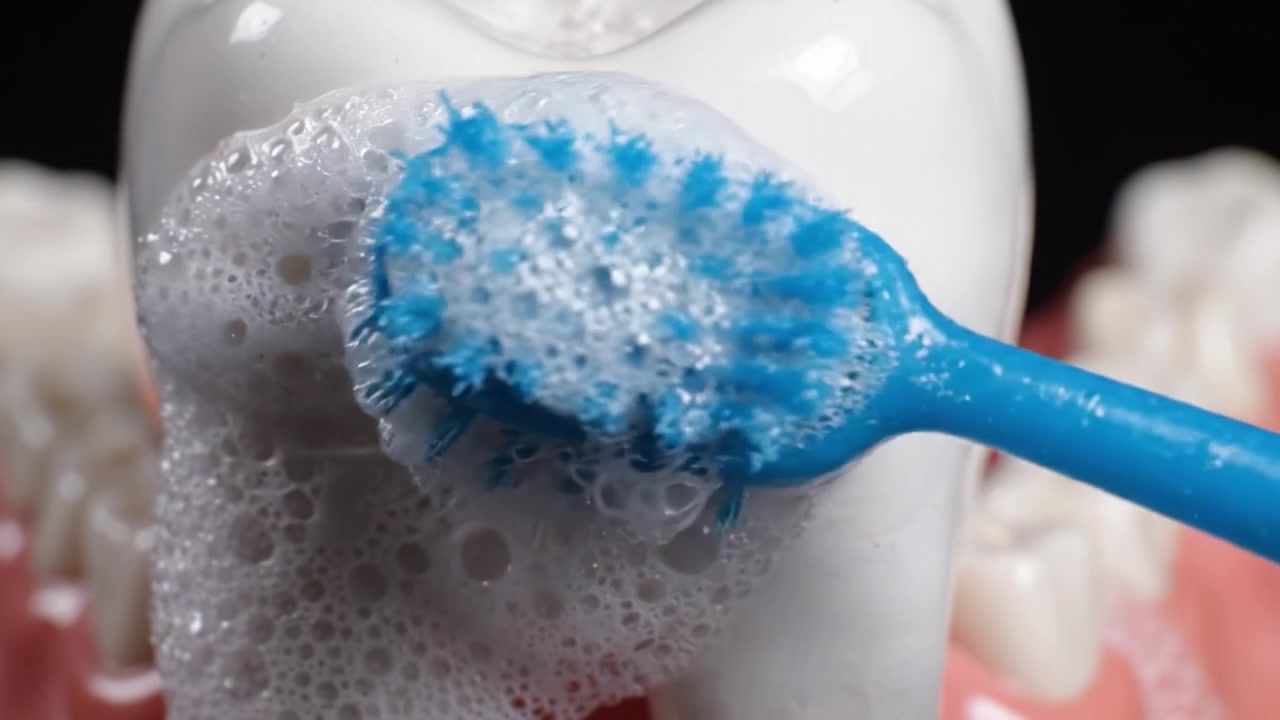 Demonstrating Effective Tooth Brushing Techniques: A Close-Up of Foaming Toothpaste on a Model Tooth to Promote Proper Oral Hygiene Practices