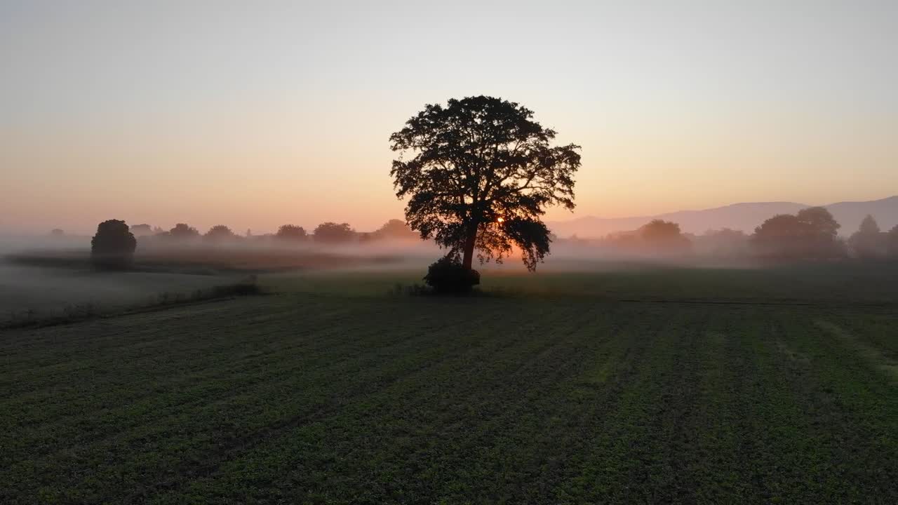 Flying over a field near a village