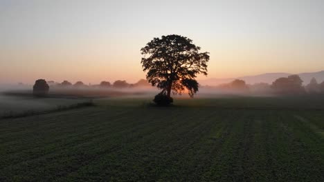 flying over a field near a village