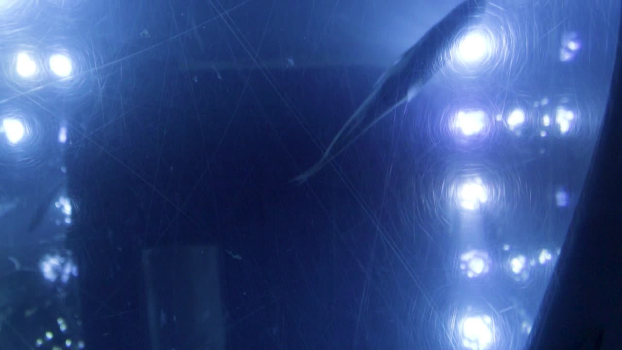 수족관을 올려다보는 남자