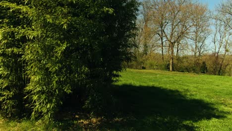 Drone shot  of the plant in the farm