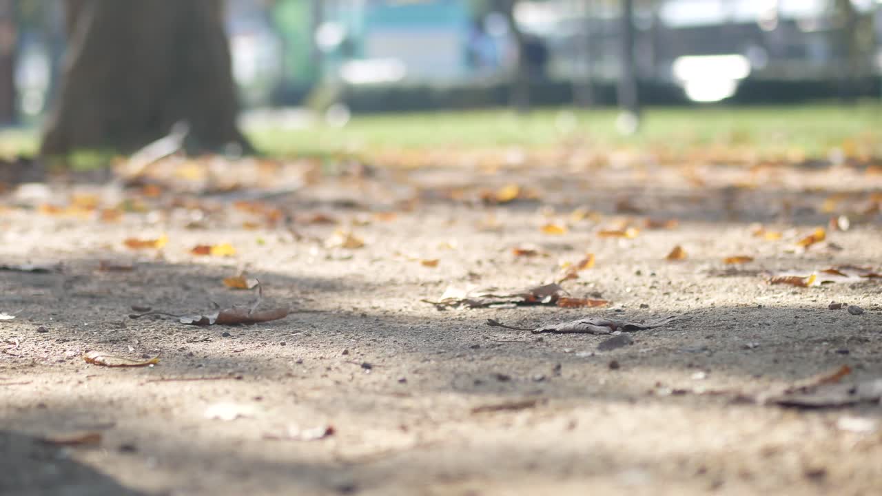 Park Path in Autumn with People Walking