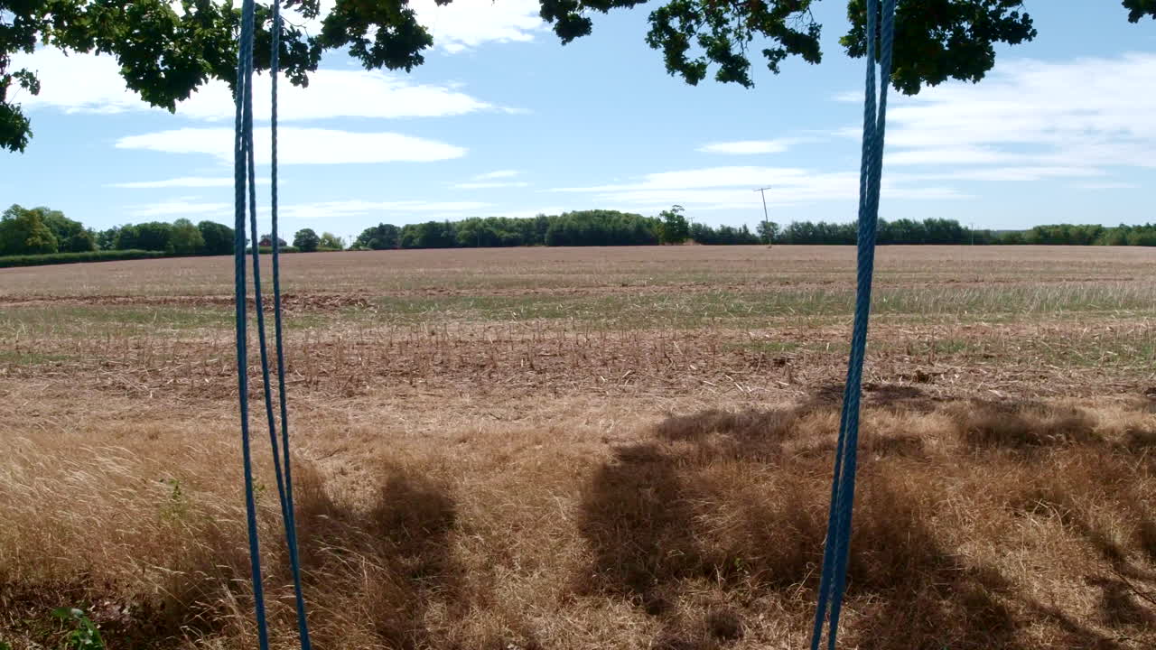 tiro hacia atrás que revela un simple columpio de madera que cuelga de un roble, tiro hacia atrás