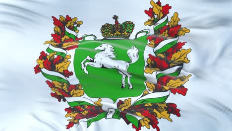 tomsk oblast (federal subject of russia) flag waving in the wind with highly detailed fabric texture. seamless loop
