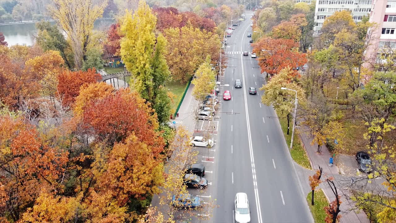 The Titan park with lake and multiple multicolored trees, road with moving cars and residential buildings near the park. View from the drone, Bucharest, Romania