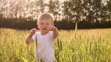 Niño-Con-Camisa-Blanca-Caminando-En-Un-Campo-Directamente-Hacia-La-Cámara-Y-Sonriendo-En-Un-Campo-De-Púas