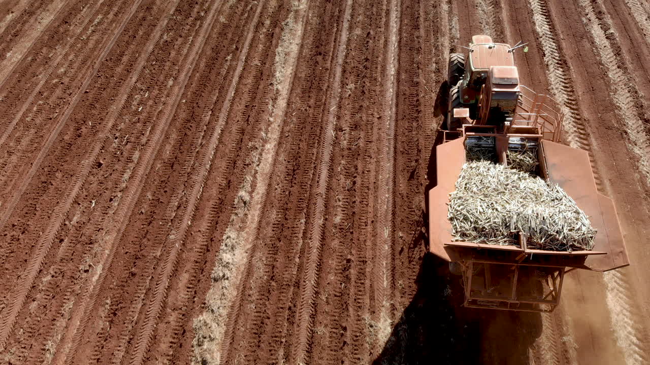 tractor automatizado plantando caña de azúcar en brasil