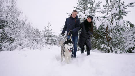 Man-and-woman-walking-with-Siberian-husky-in-winter-forest