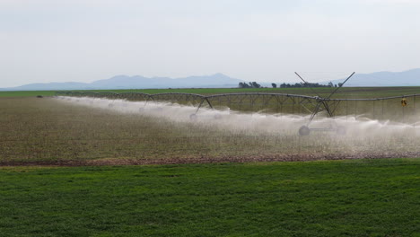 aerial view of efficient agricultural irrigation system on vast expanse of arable land. economy. exports. argentina.
