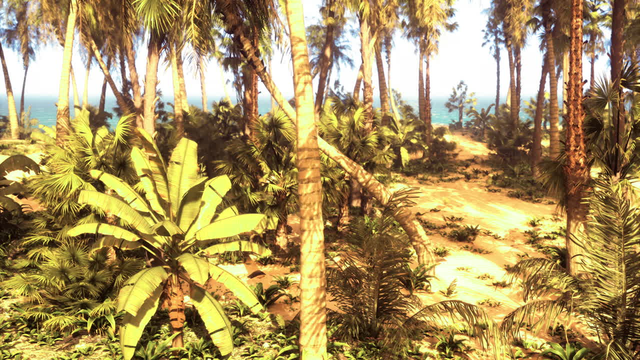 Dense tropical forest with vibrant foliage and distant ocean view