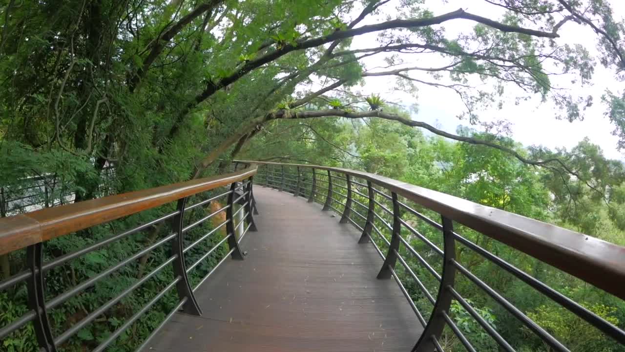 Walking (POV) on a boardwalk through a green forest in China.