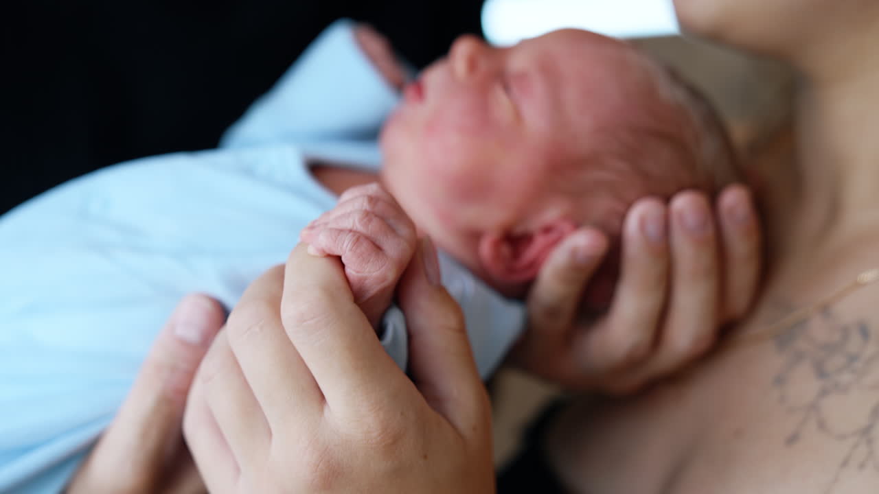 Little newborn in the secure hands of his parents. Mother kissing her adorable baby on the head. Close up. Blurred backdrop.